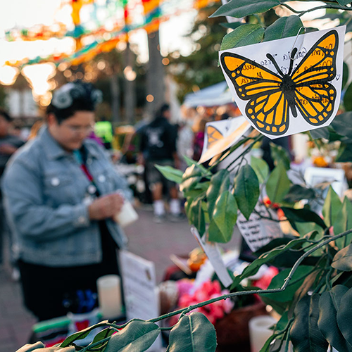 Yesenia Magdaleno-Solis '20