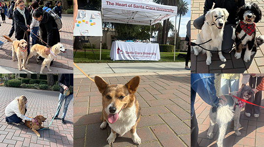 CAS SET event December 2025